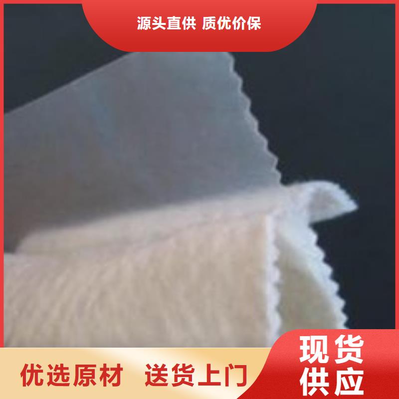 土工膜钢塑土工格栅厂家从厂家买售后有保障
