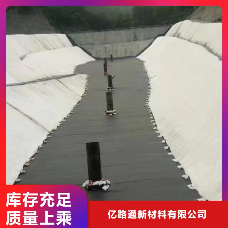 土工膜钢塑土工格栅厂家快速报价