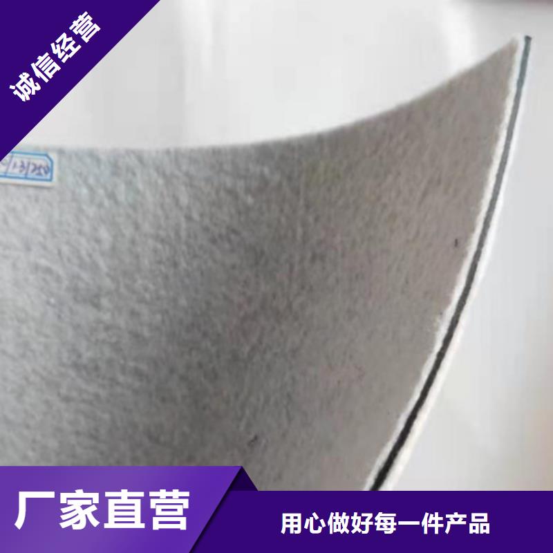 土工膜长丝无纺土工布实力优品