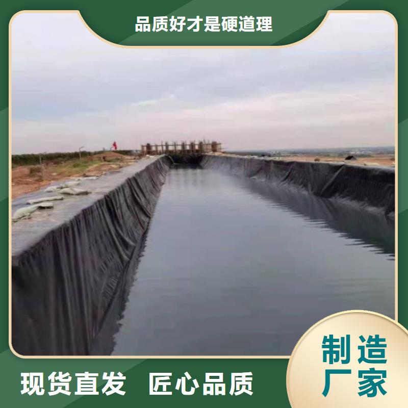 土工膜钢塑土工格栅厂家从厂家买售后有保障