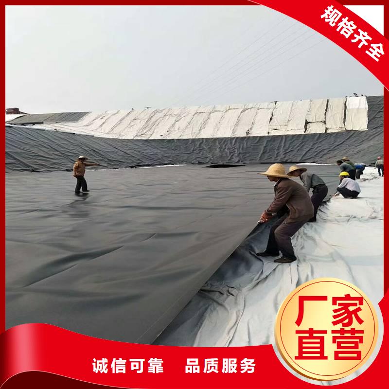 土工膜复合土工膜价格低