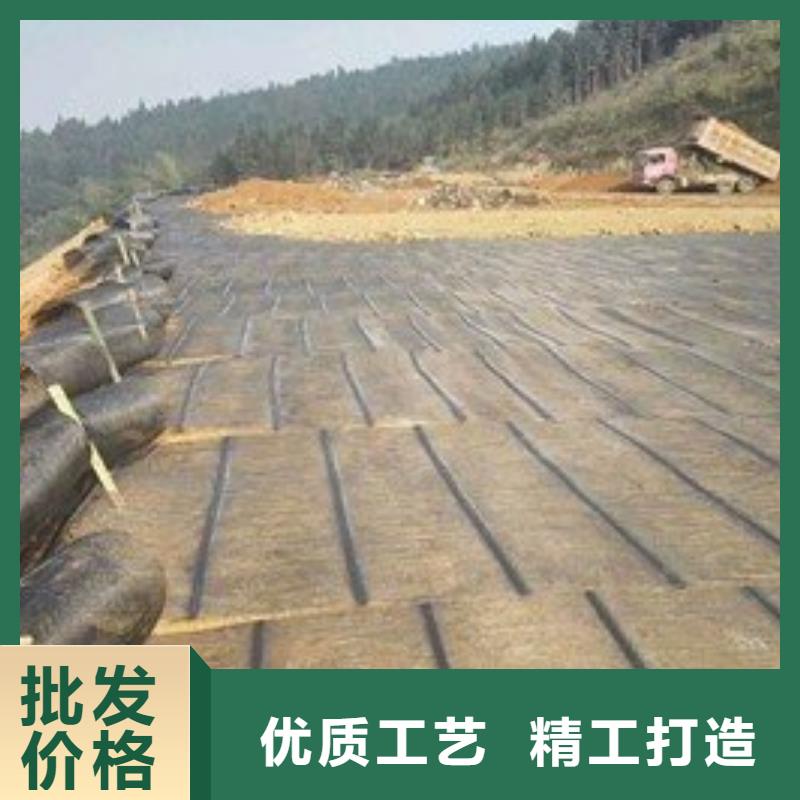 土工格栅单向塑料土工格栅精心打造
