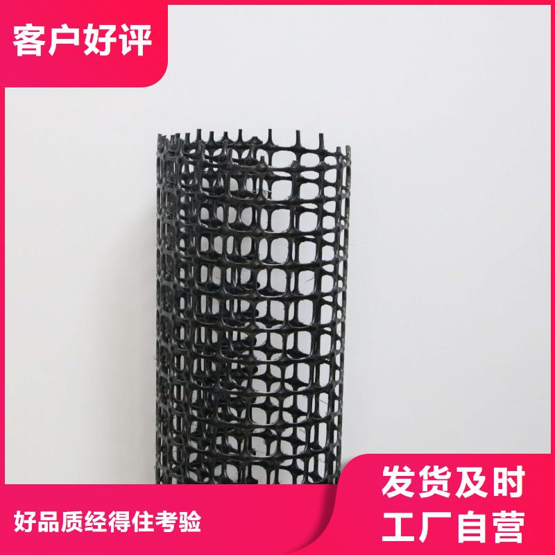 经编涤纶土工格栅厂家防渗反滤道路养护环保防尘