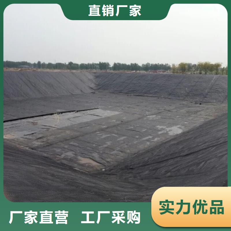 土工格栅单向塑料土工格栅精心打造