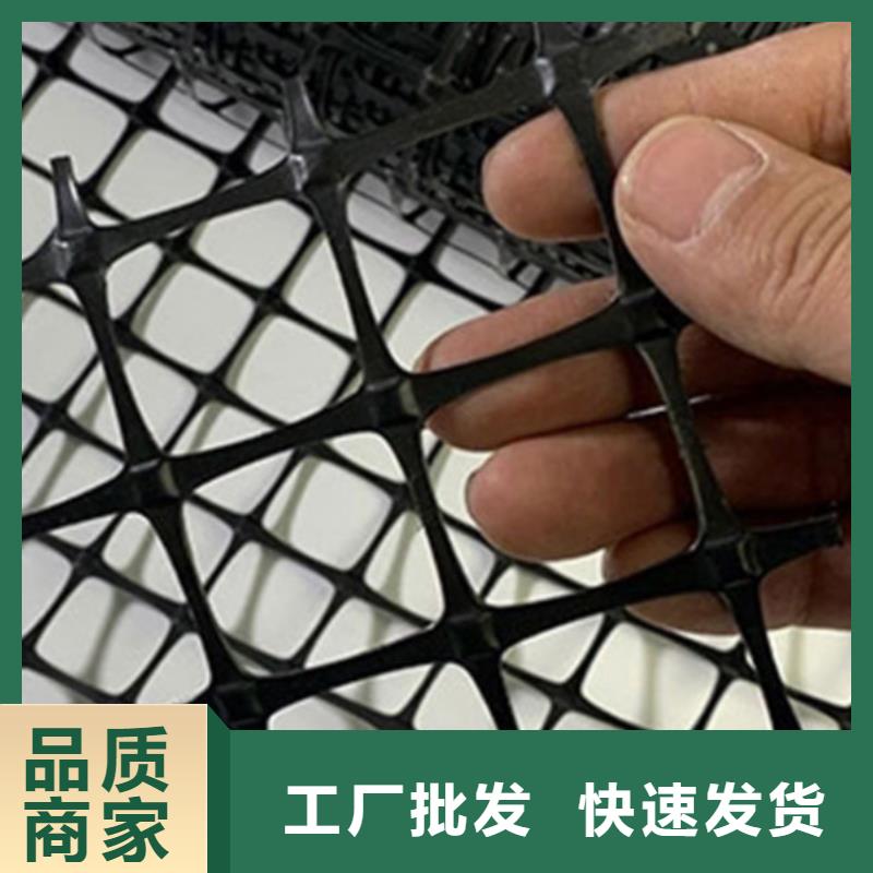 土工格栅三维植被网厂家品质值得信赖
