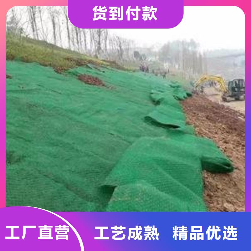 三维植被网,聚丙烯双拉土工格栅工厂认证