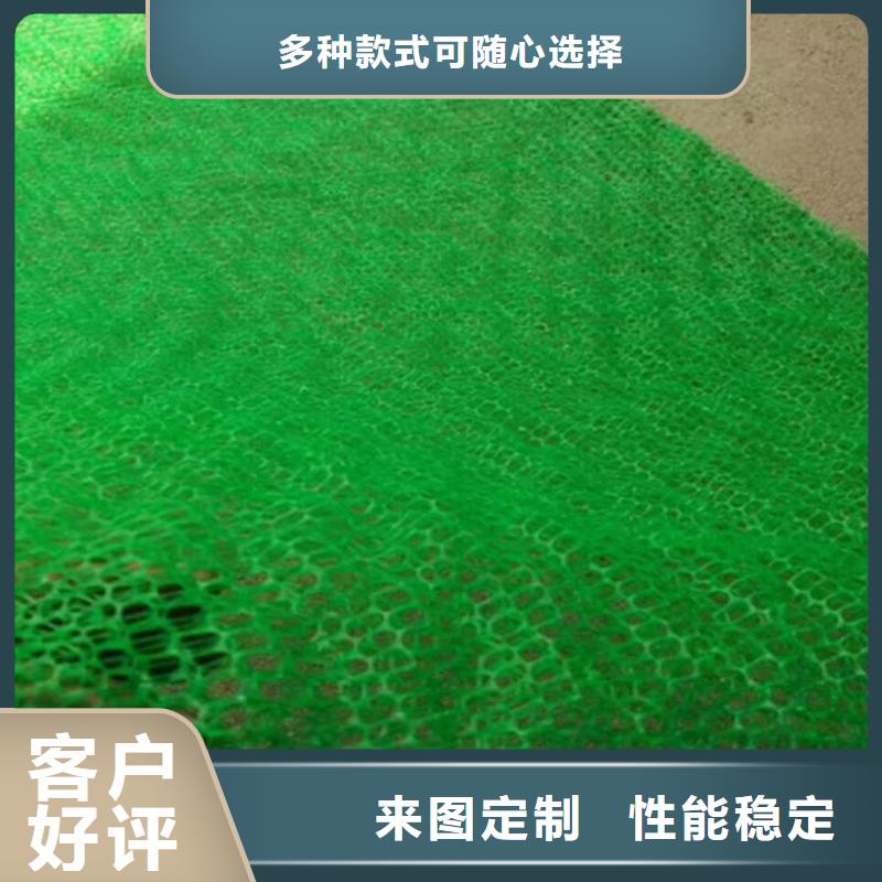 三维植被网土工席垫专业供货品质管控