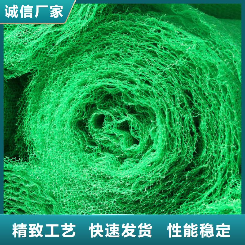 三维植被网,钢塑土工格栅厂家使用寿命长久
