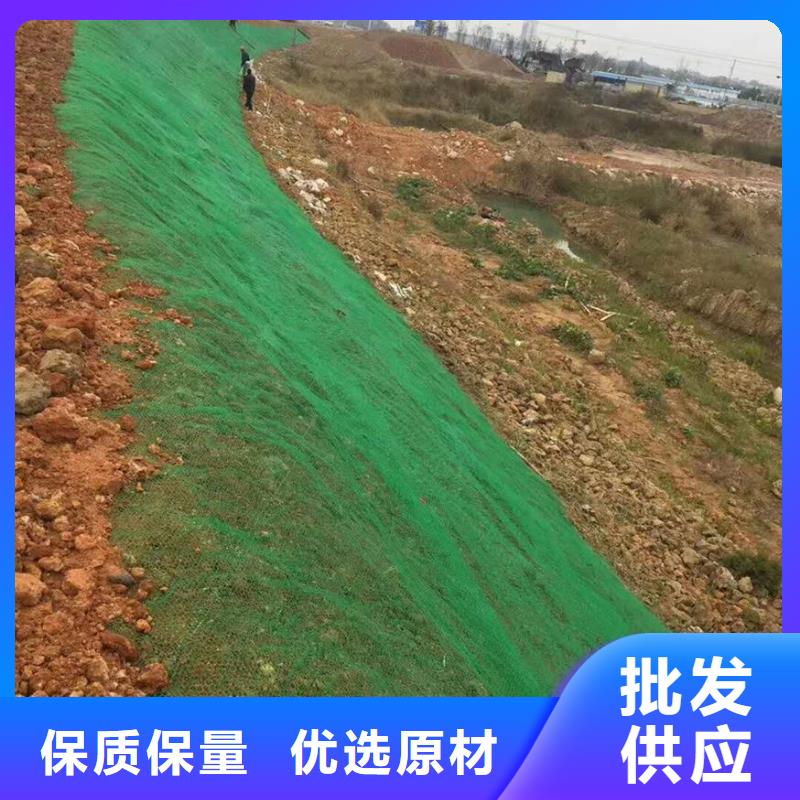 三维植被网,聚丙烯双拉土工格栅工厂认证