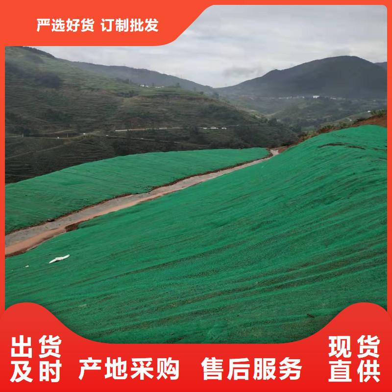 三维植被网,聚丙烯双拉土工格栅工厂认证