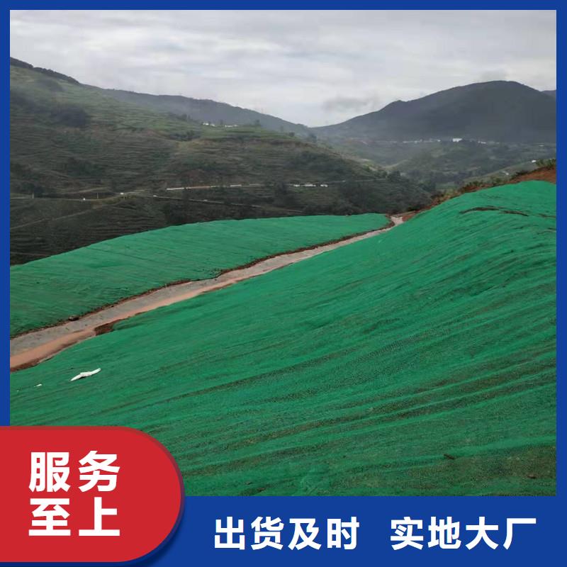 三维植被网土工席垫专业供货品质管控