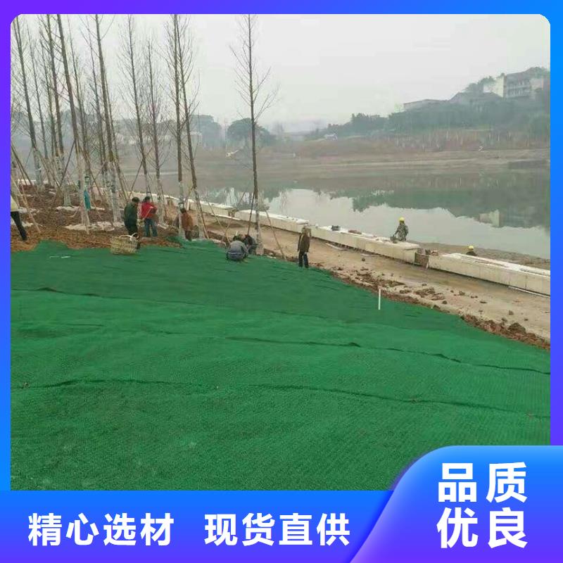 三维植被网HDPE土工膜免费询价