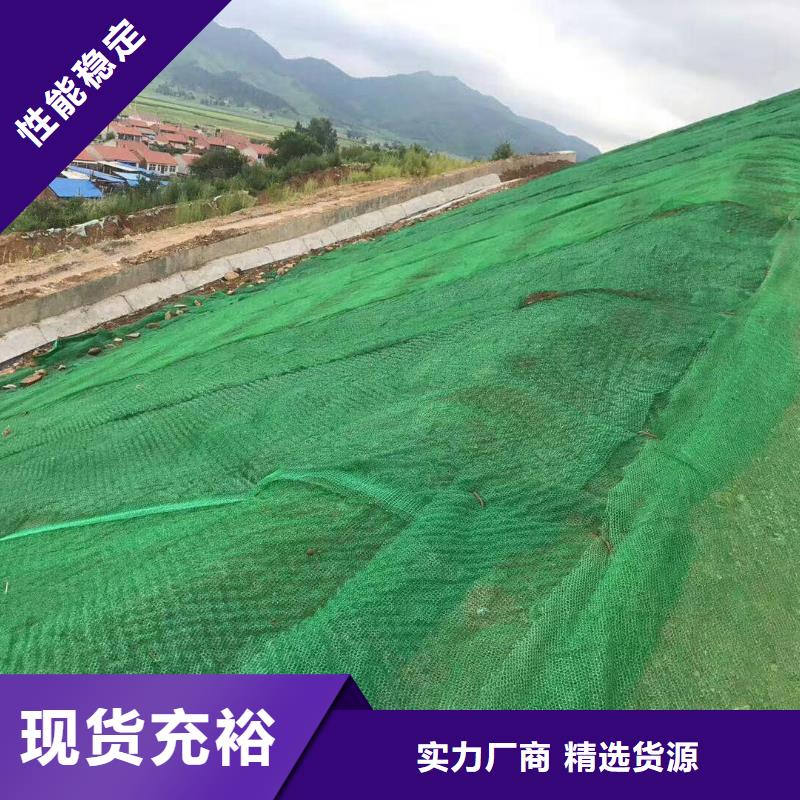 三维植被网钢塑土工格栅厂家层层质检