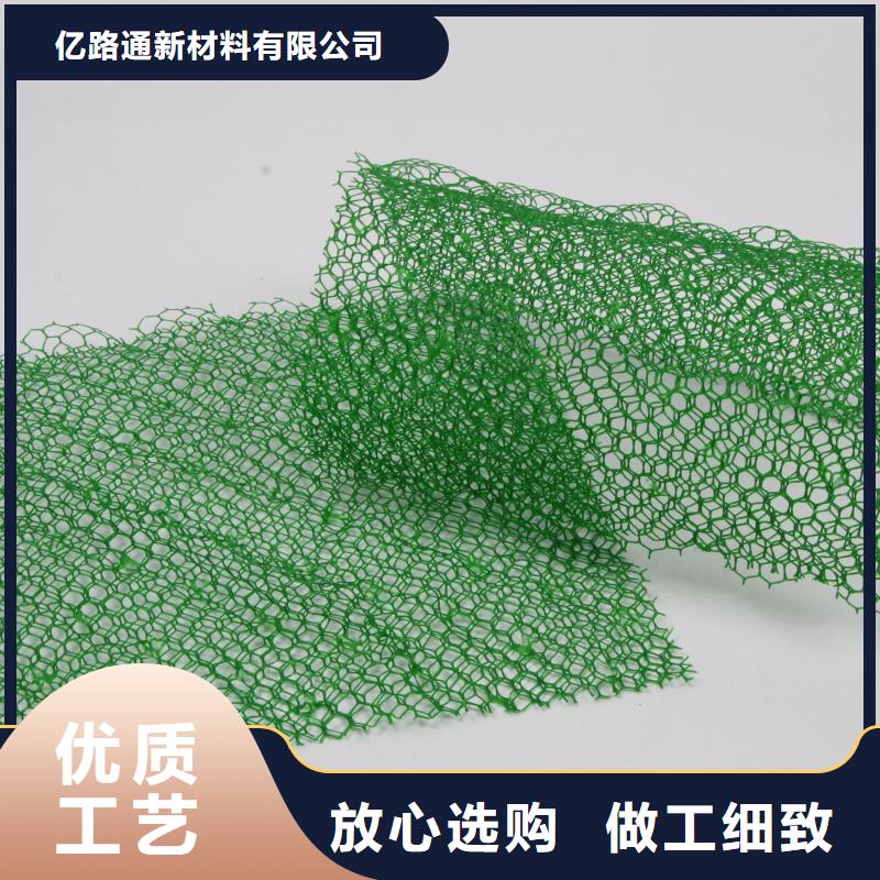 三维植被网多向塑料土工格栅本地配送