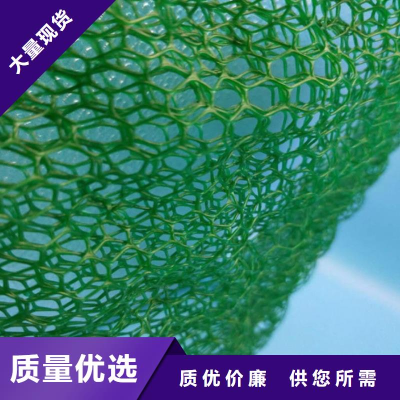 三维植被网钢塑土工格栅商家