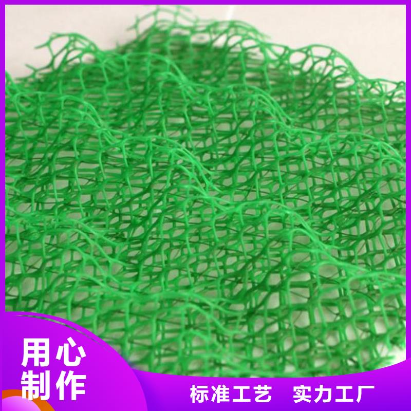 三维植被网钢塑土工格栅商家