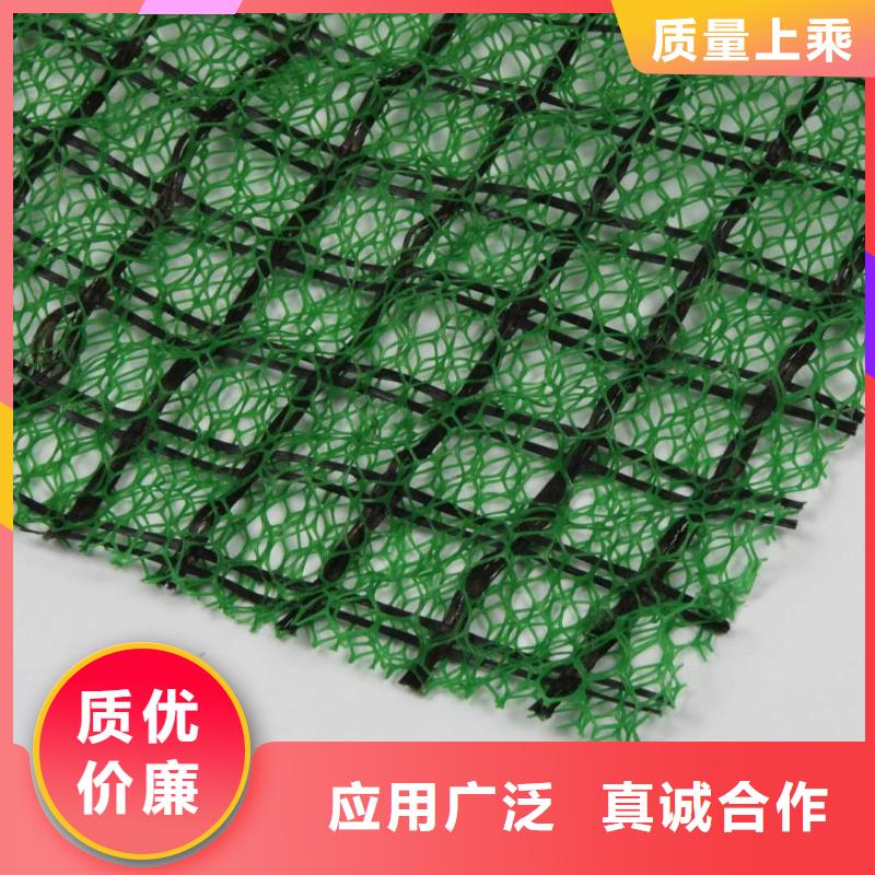 三维植被网钢塑土工格栅厂家层层质检