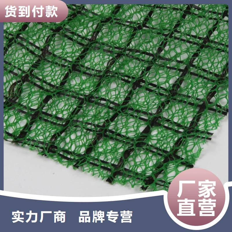 三维植被网多向塑料土工格栅本地配送