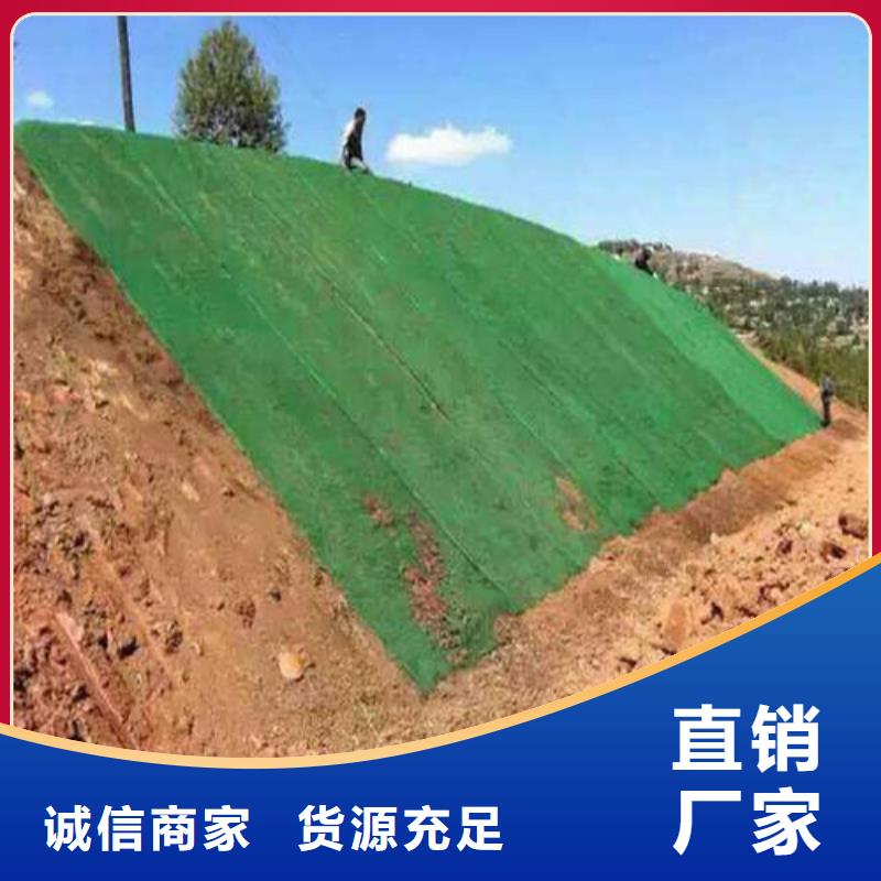 三维植被网多向塑料土工格栅本地配送
