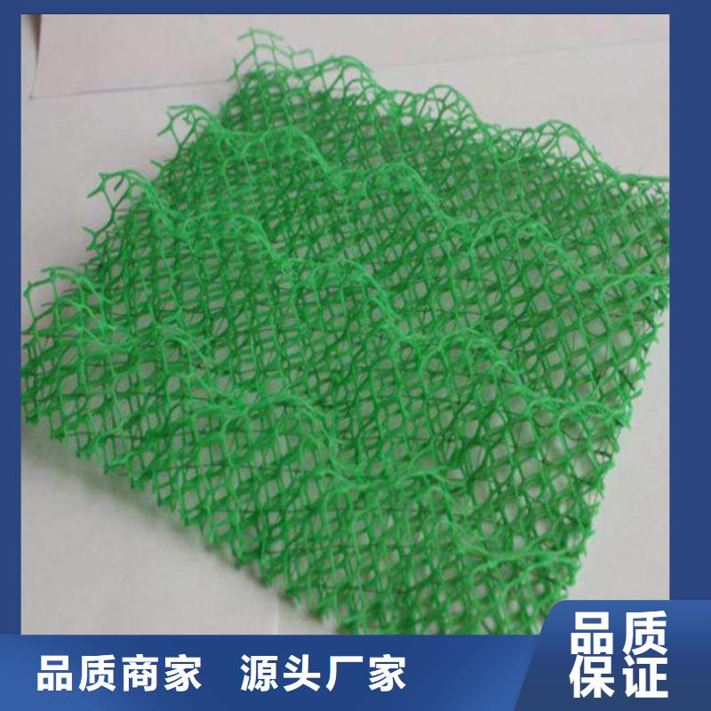三维植被网钢塑土工格栅厂家层层质检