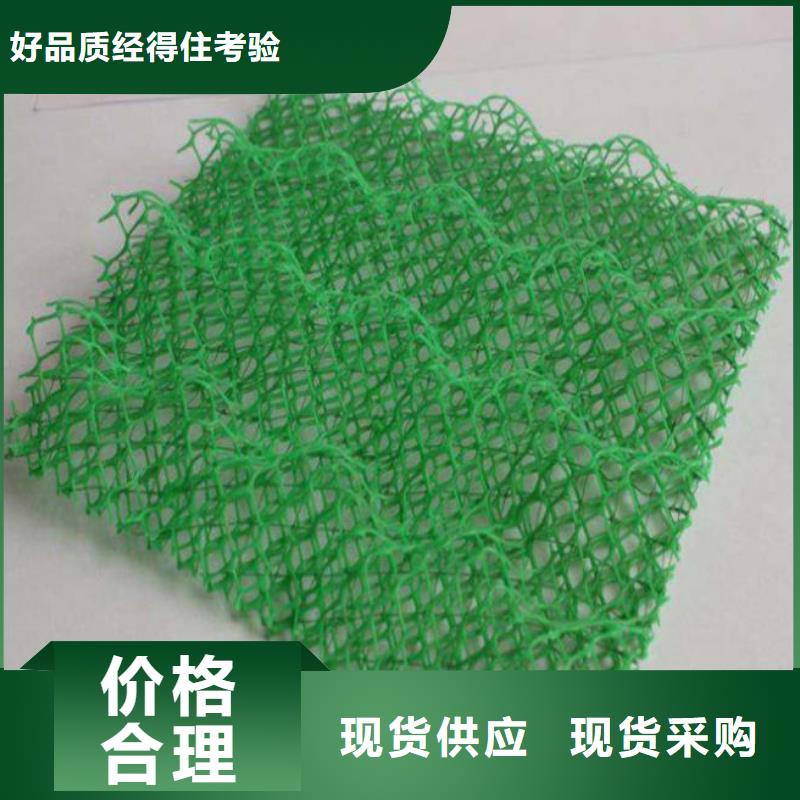 三维植被网,聚丙烯双拉土工格栅工厂认证