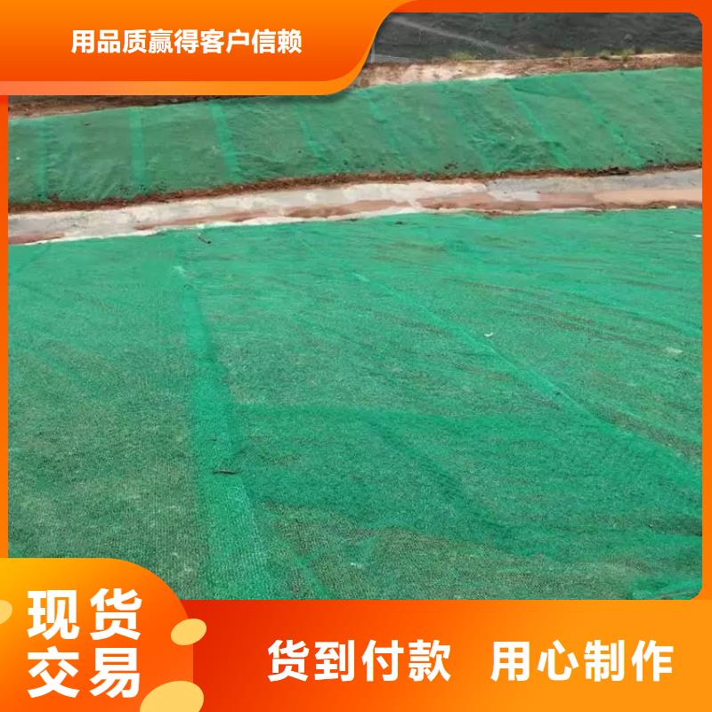 三维植被网钢塑土工格栅厂家层层质检