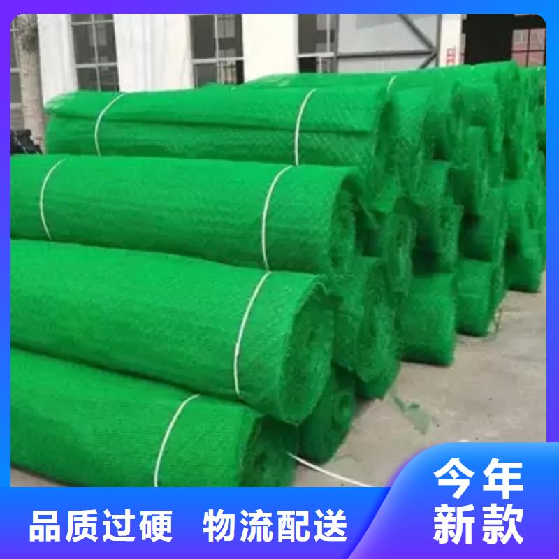三维植被网HDPE土工膜免费询价