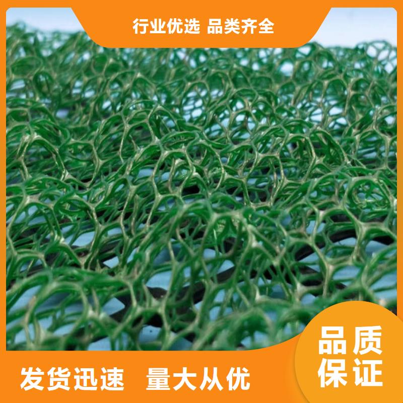 三维植被网土工席垫专业供货品质管控