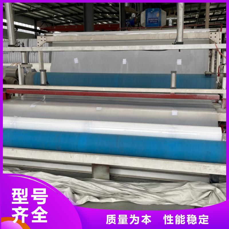 EVA防水板双向塑料土工格栅源厂直接供货