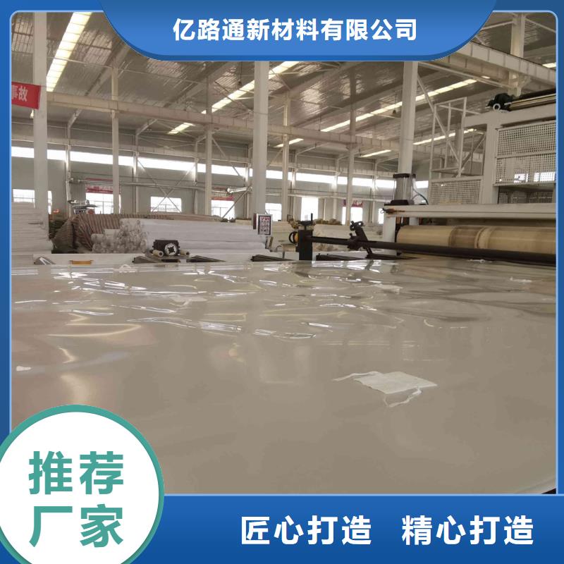 EVA防水板三维土工网垫厂家十分靠谱