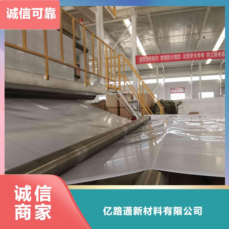 EVA防水板三维土工网垫厂家十分靠谱