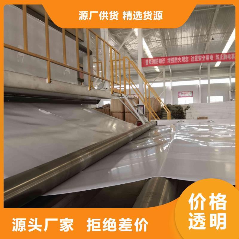 EVA防水板-单向塑料土工格栅质检严格