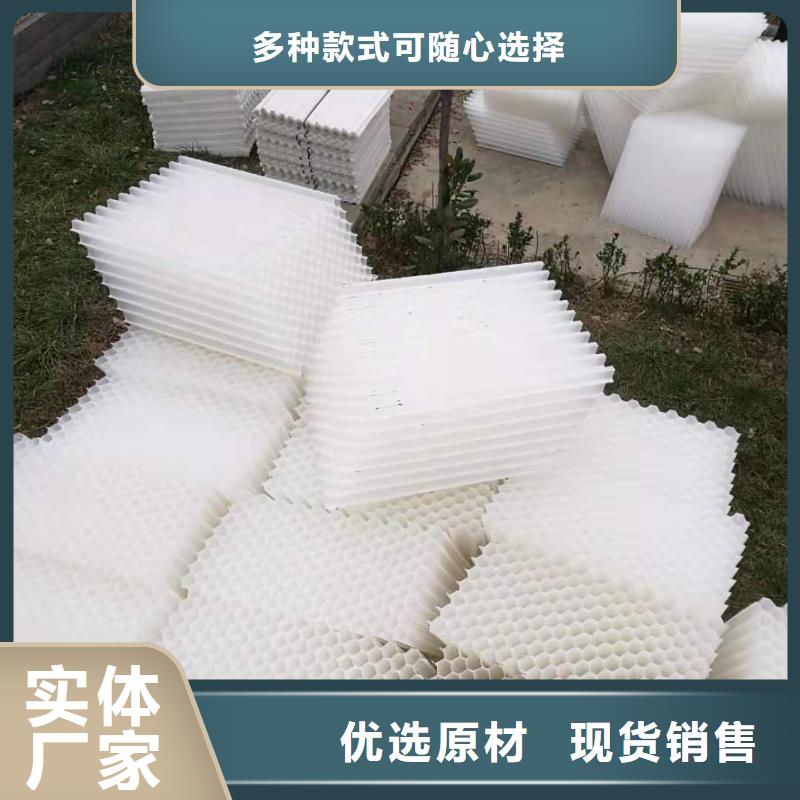 斜管填料椰壳活性炭实地大厂