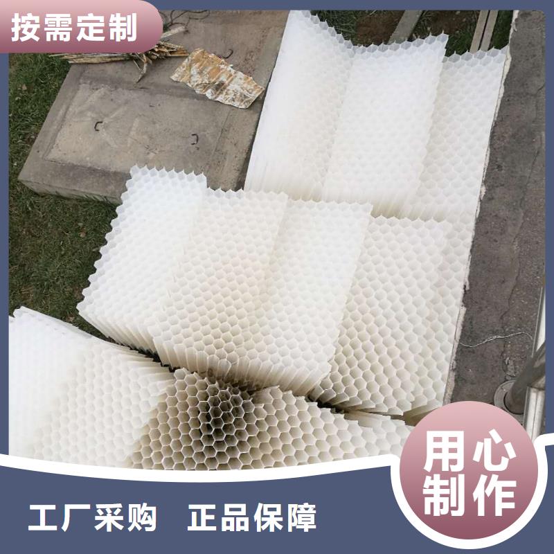 斜管填料椰壳活性炭实地大厂