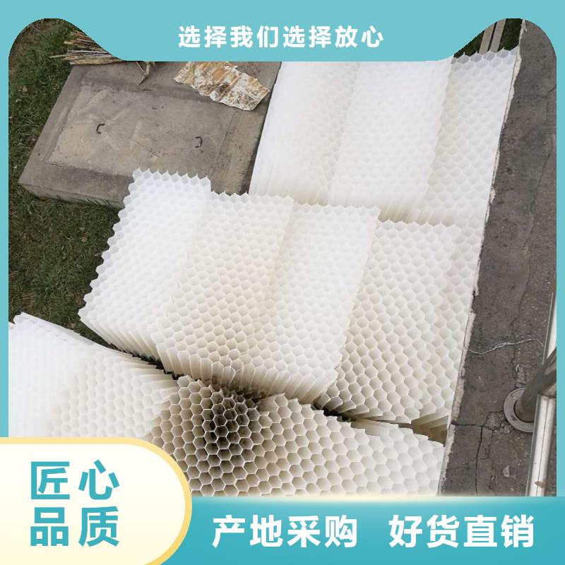斜管填料除臭剂多种工艺