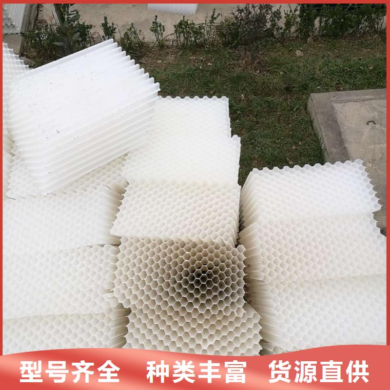 斜管填料椰壳活性炭实地大厂