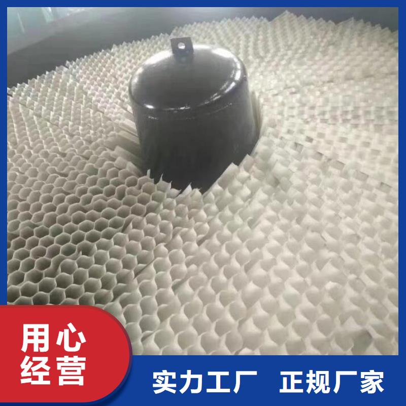 斜管煤质活性炭定制定做