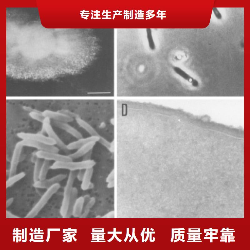 醋酸钠（碳源）性价比高