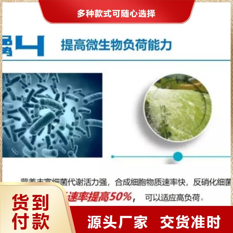 碳源污水处理絮凝剂实体厂家支持定制