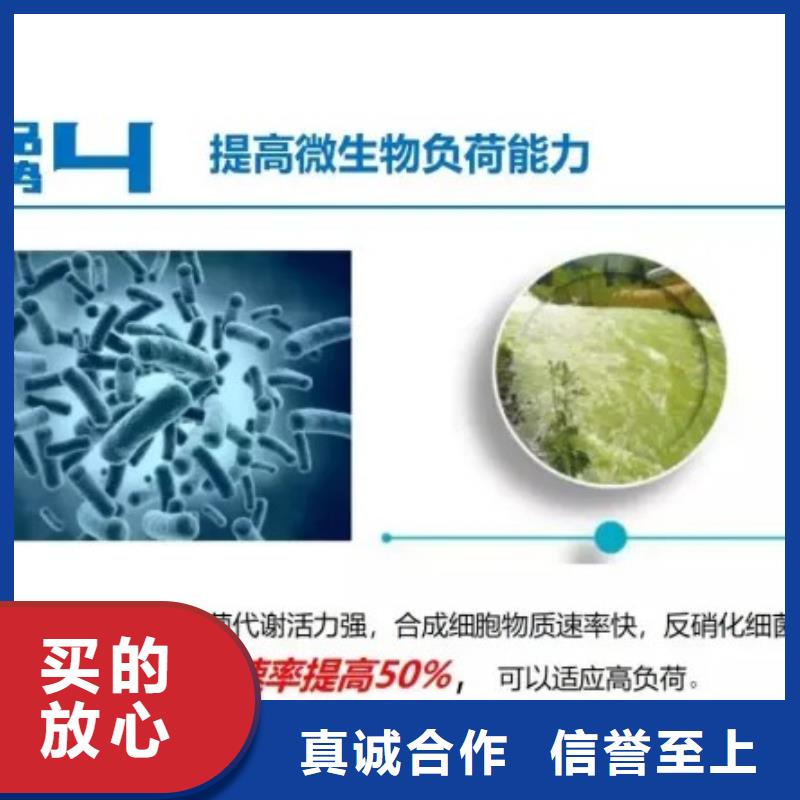 碳源污水处理絮凝剂实体厂家支持定制