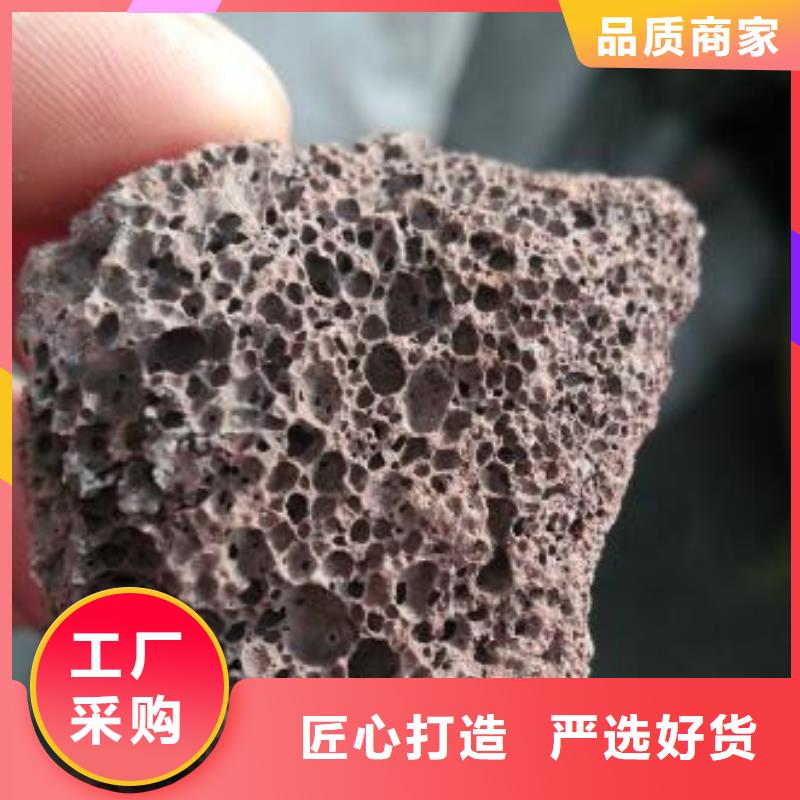 反硝化池用活山岩厂家