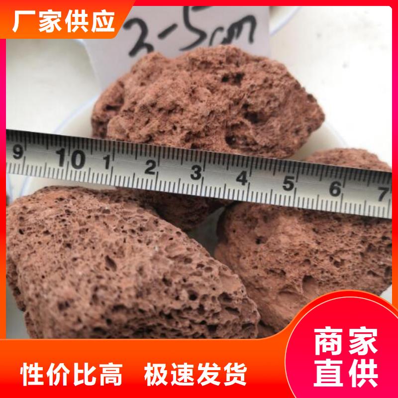 反硝化池用活山岩哪里有卖