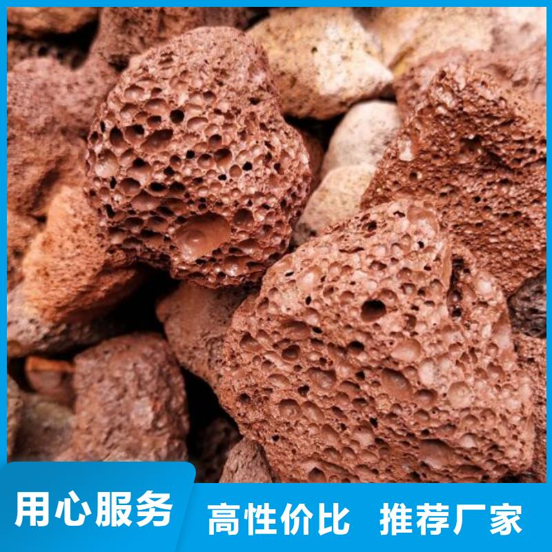 反硝化池用火山岩陶粒价格