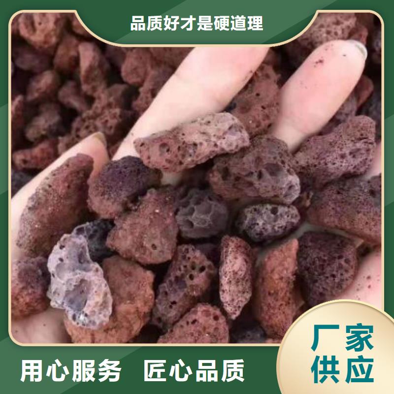 反硝化池用火山岩陶粒货源