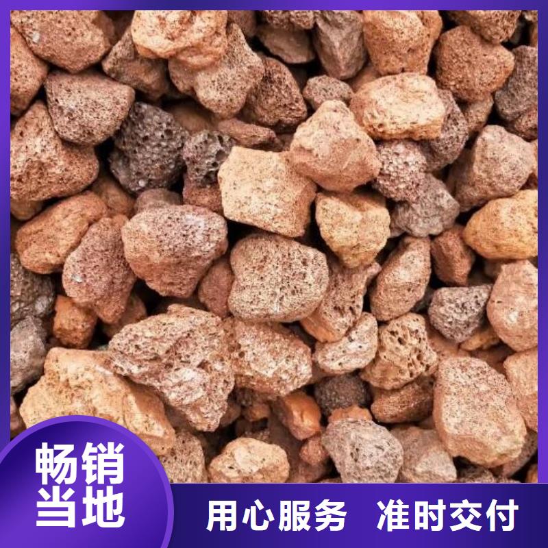 反硝化池用火山岩陶粒货源