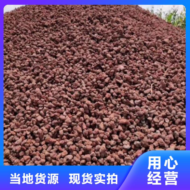 反硝化池用活山岩厂家