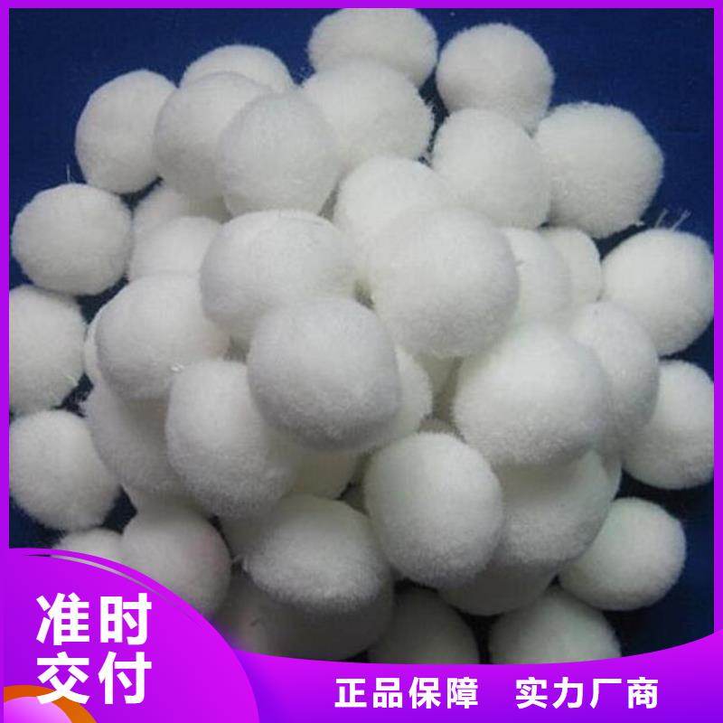 果壳滤料-视频-肇庆市果壳滤料-(同城)可服务区域德庆|高要|珠海|云浮|东莞|江门|中山