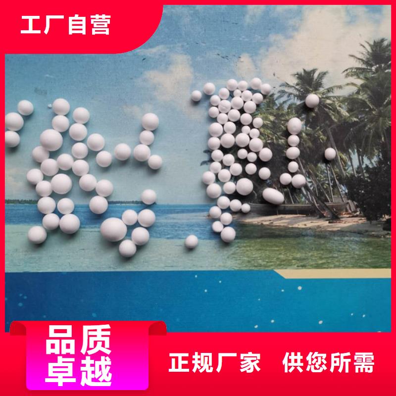 泡沫滤料,沸石快速发货
