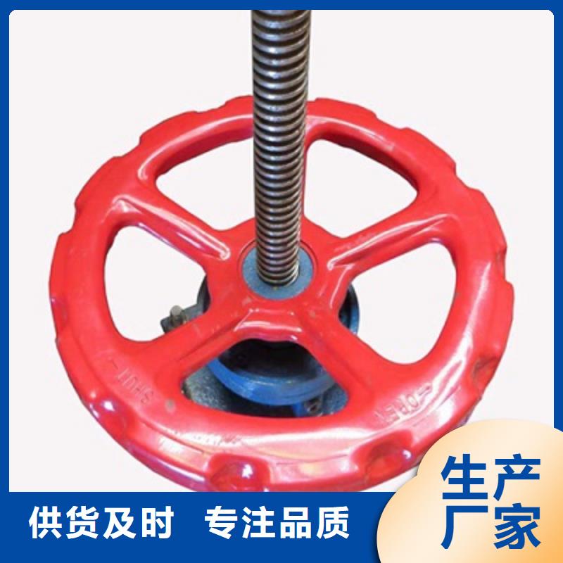 启闭机双向止水闸门工艺层层把关