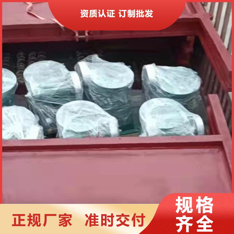 水库铸铁闸门支持定制